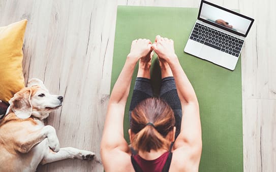 yoga sessions online