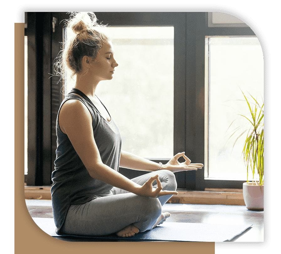 online meditation training